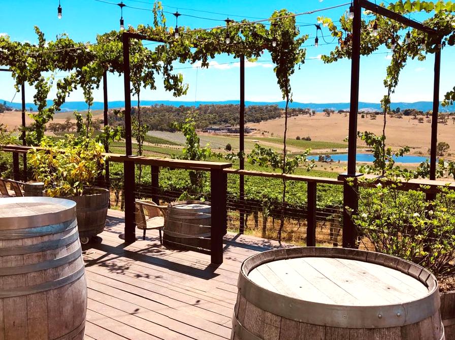 Exploring the Vines and Landscapes of Helen & Joey Estate