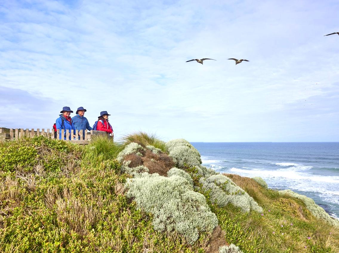 Uncover the Secrets of Echo Cave: Caving Fun near Apollo Bay